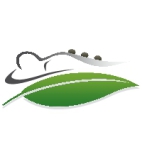 GARTENPFLEGE BLATTLAUS